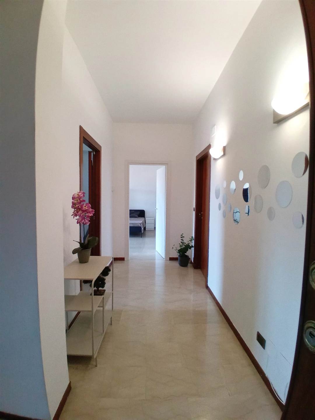 appartamento in affitto a Latina