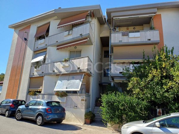 appartamento in affitto a Latina in zona Centro Città
