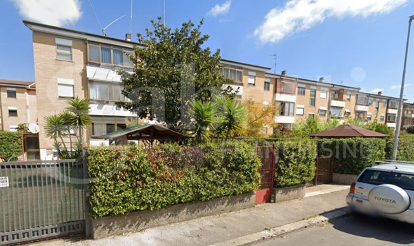 appartamento in affitto a Latina