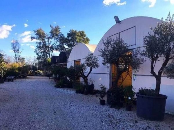 terreno agricolo in affitto a Latina