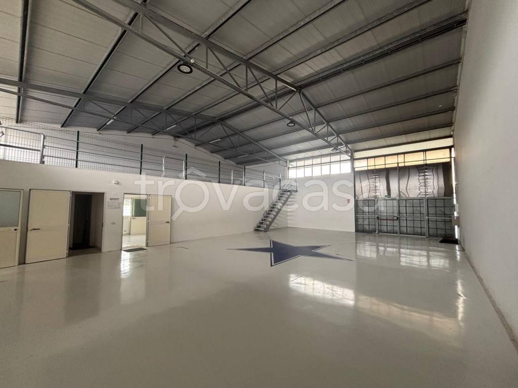 locale commerciale in affitto a Latina in zona Centro Città