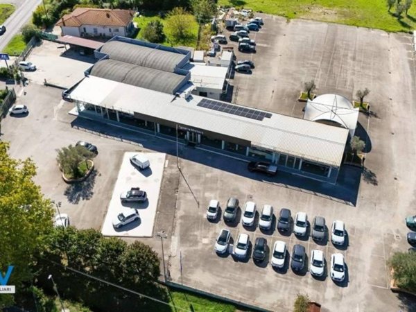 negozio in affitto a Latina