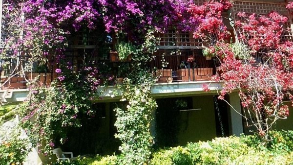 appartamento in affitto a Latina