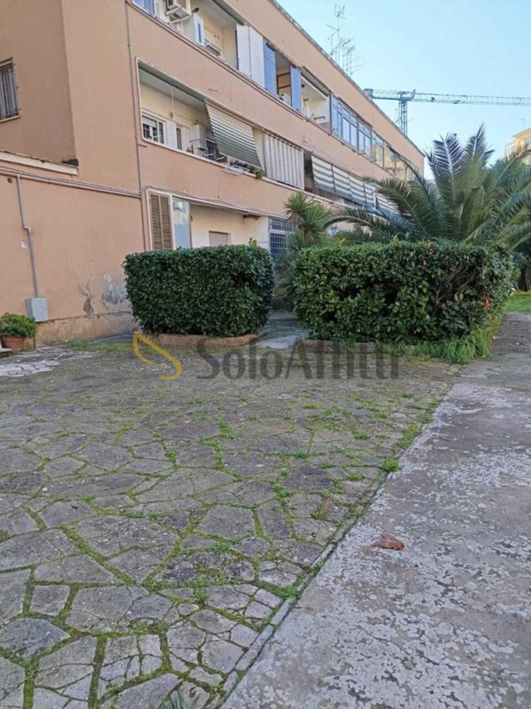 appartamento in affitto a Latina in zona Centro Città