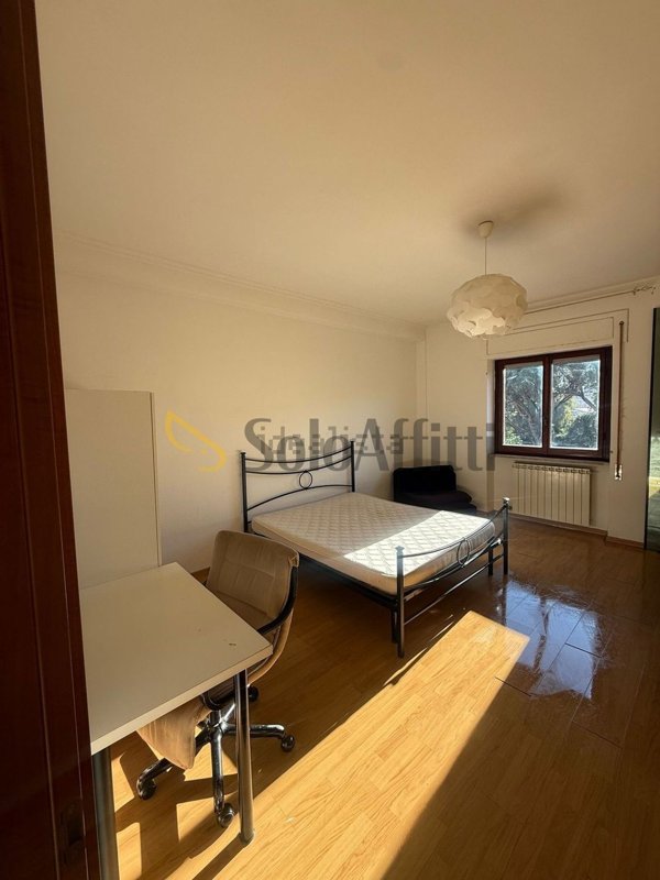 appartamento in affitto a Latina