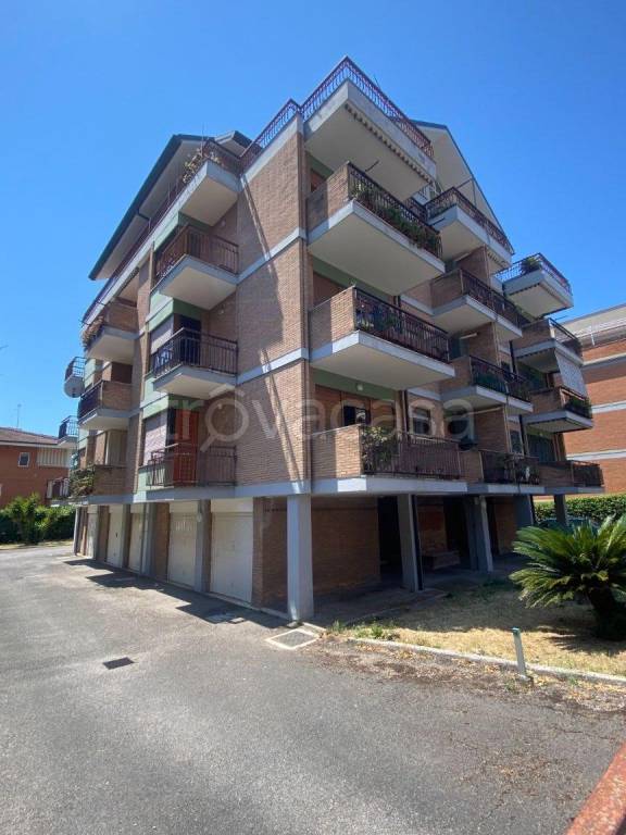 appartamento in affitto a Latina