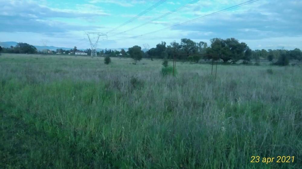terreno agricolo in affitto a Latina in zona Borgo San Michele