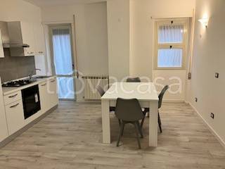 appartamento in affitto a Latina