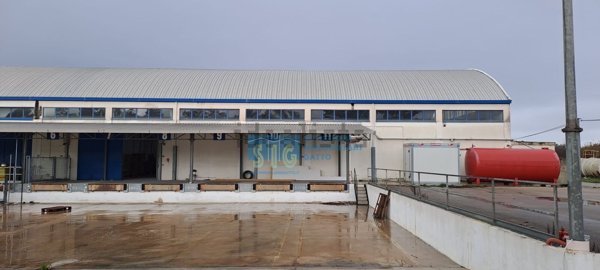 capannone in affitto a Latina in zona Borgo San Michele