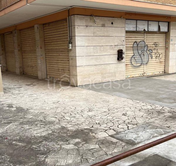 appartamento in affitto a Latina