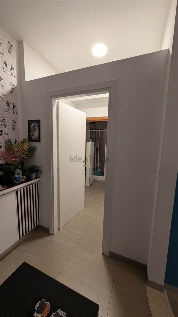 negozio in affitto a Latina