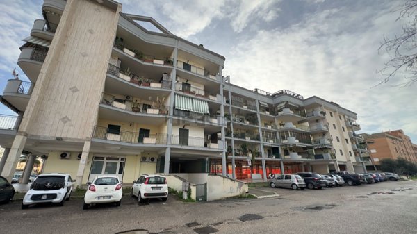 appartamento in affitto a Latina