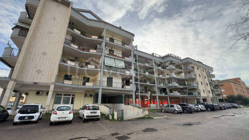 appartamento in affitto a Latina