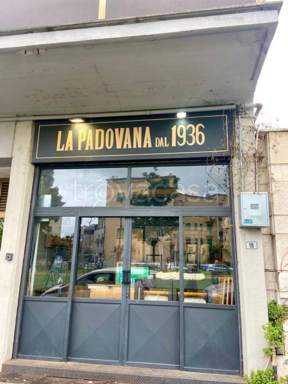 negozio in affitto a Latina in zona Centro Città