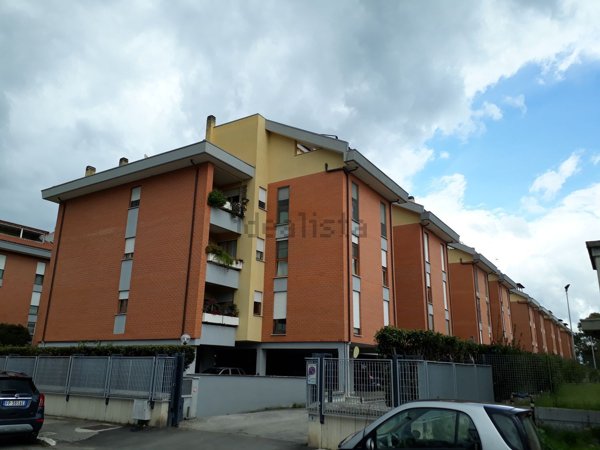 appartamento in affitto a Latina