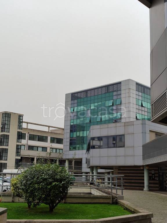 immagine annuncio 0 di 5