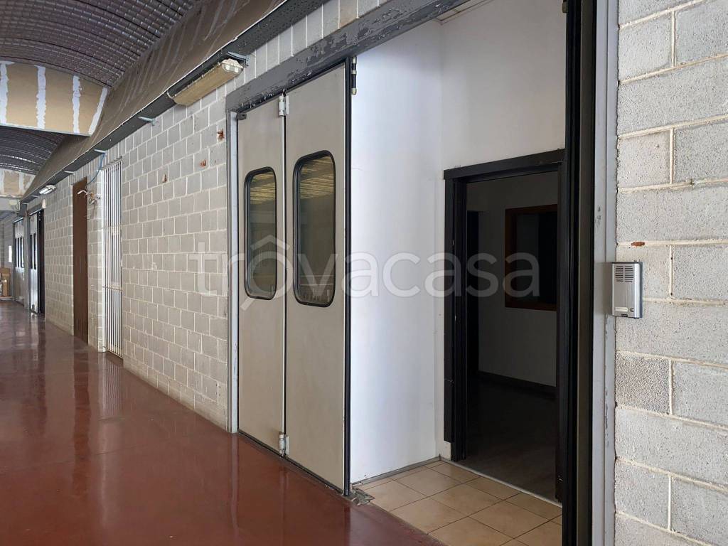 locale commerciale in affitto a Latina