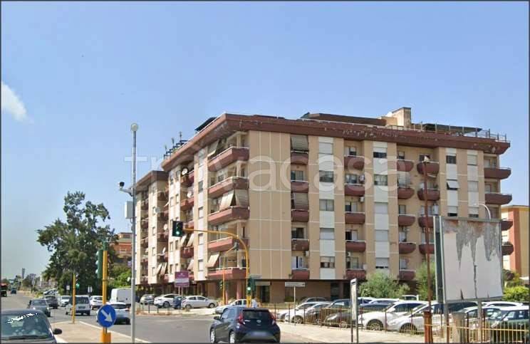 appartamento in affitto a Latina