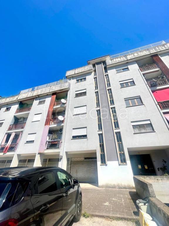 appartamento in affitto a Latina