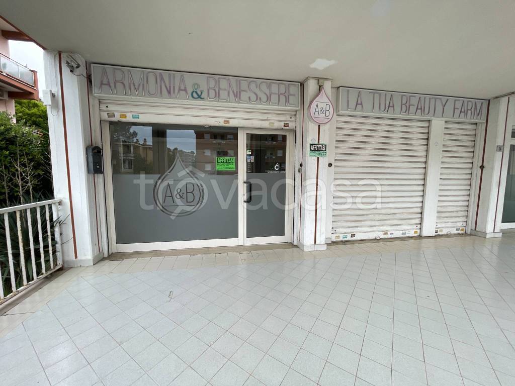 negozio in affitto a Latina