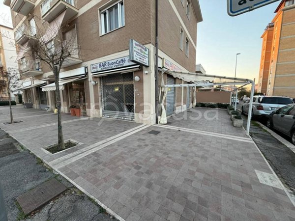 negozio in affitto a Latina