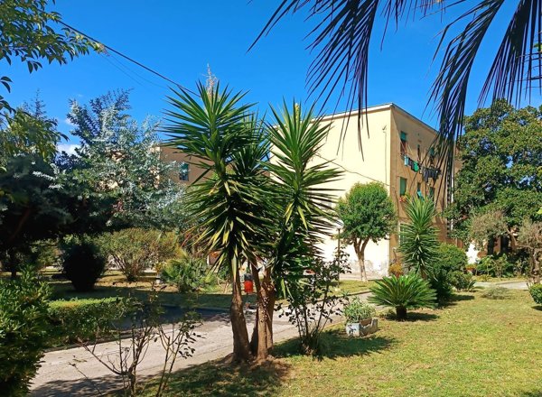 appartamento in affitto a Latina in zona Centro Città