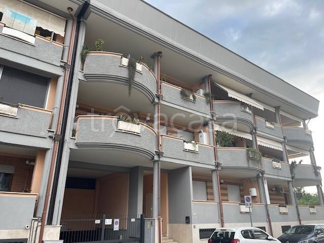 appartamento in affitto a Latina