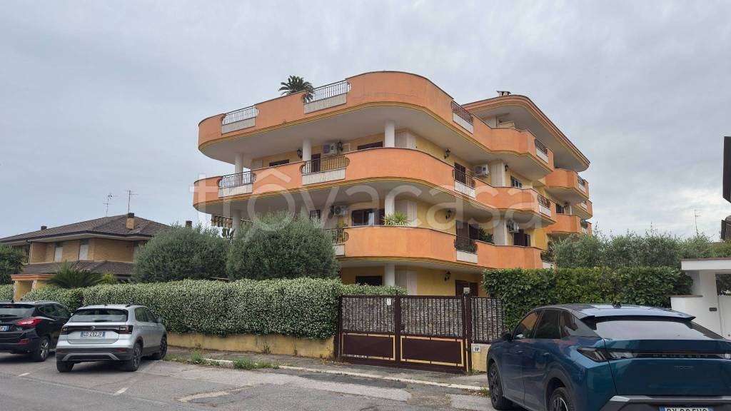 appartamento in affitto a Latina