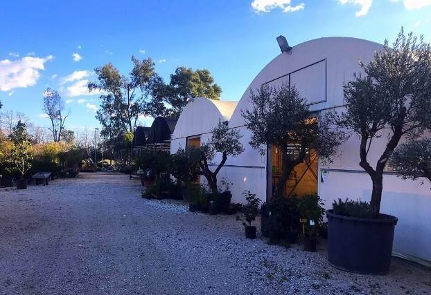 terreno agricolo in affitto a Latina in zona Borgo Piave