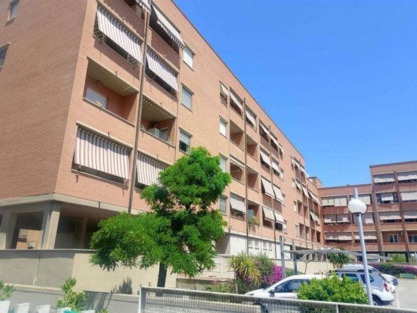 appartamento in affitto a Latina