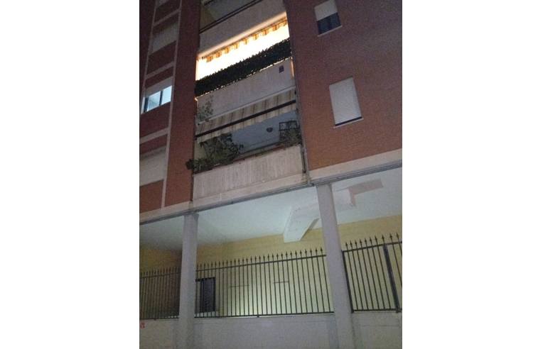 appartamento in affitto a Latina