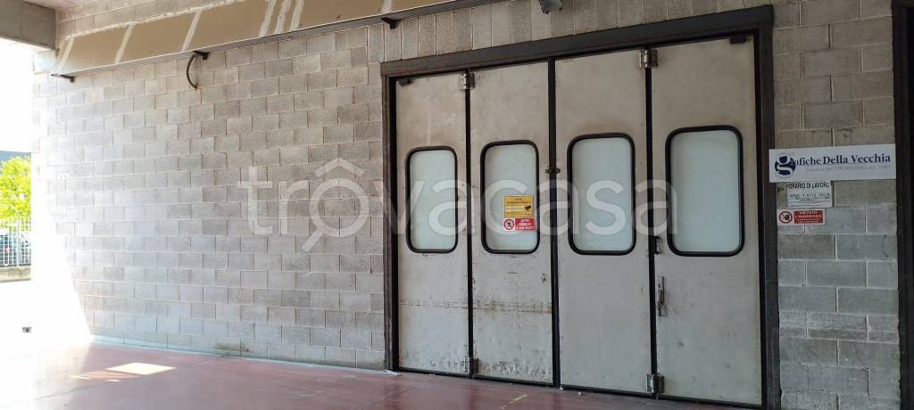 locale commerciale in affitto a Latina