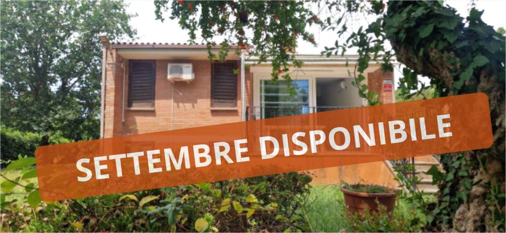 casa indipendente in affitto a Latina