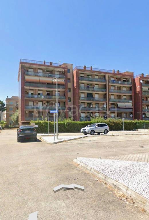 appartamento in affitto a Latina