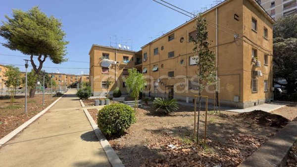 appartamento in affitto a Latina in zona Centro Città