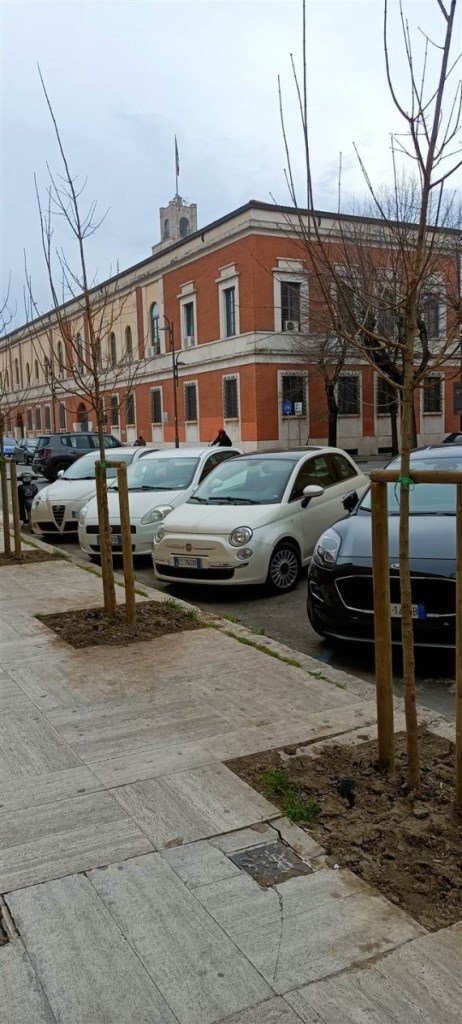 appartamento in affitto a Latina
