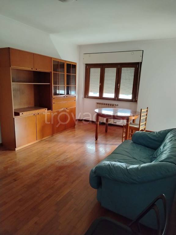 appartamento in affitto a Latina