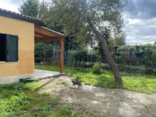 appartamento in affitto a Minturno