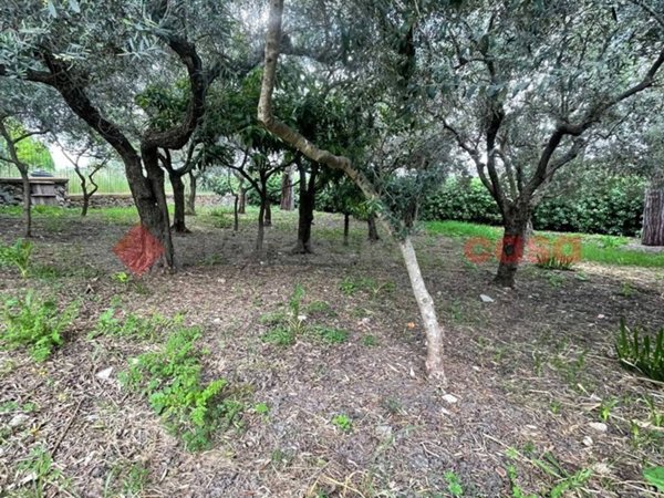 casa indipendente in affitto a Minturno in zona Scauri