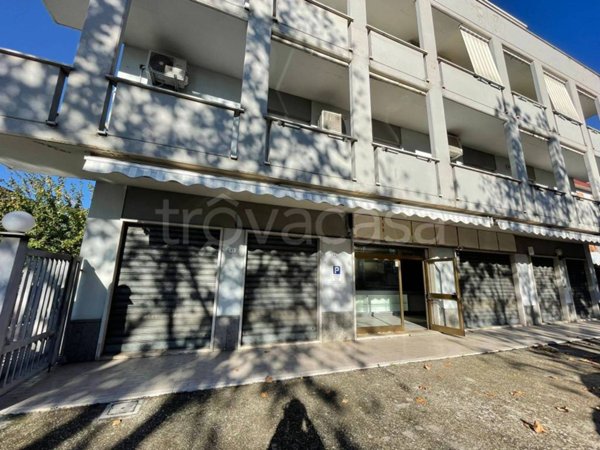 negozio in affitto a Pontinia