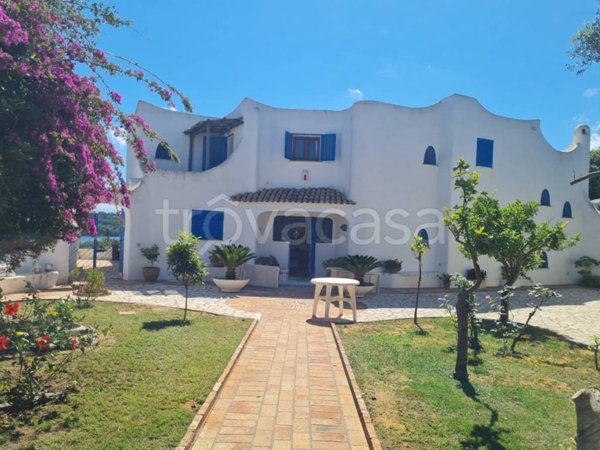 casa indipendente in affitto a Sabaudia