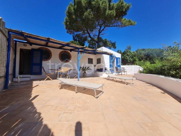 appartamento in affitto a Sabaudia