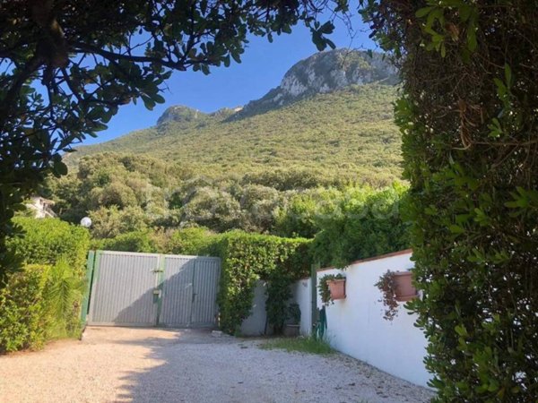 casa indipendente in affitto a Sabaudia
