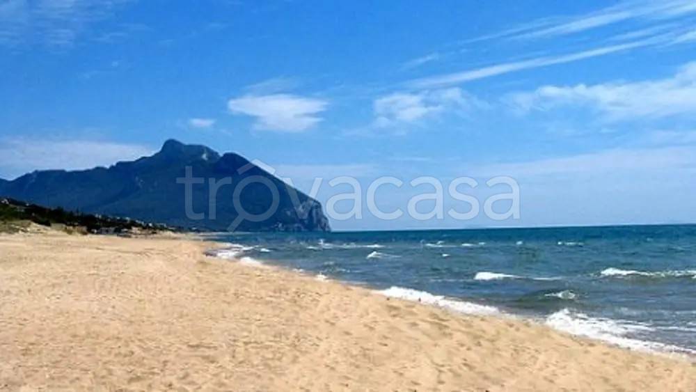 appartamento in affitto a Sabaudia