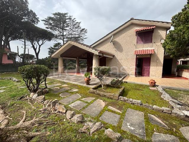casa indipendente in affitto a Sabaudia