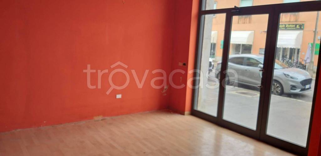 quadrivano in affitto a Sabaudia