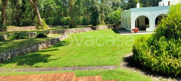 casa indipendente in affitto a Sabaudia in zona Baia d'Argento