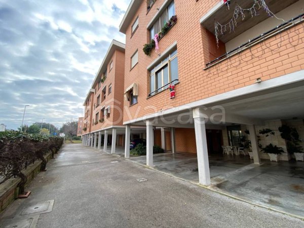 appartamento in affitto a Sabaudia
