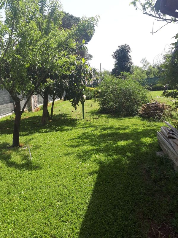 appartamento in affitto a Sabaudia