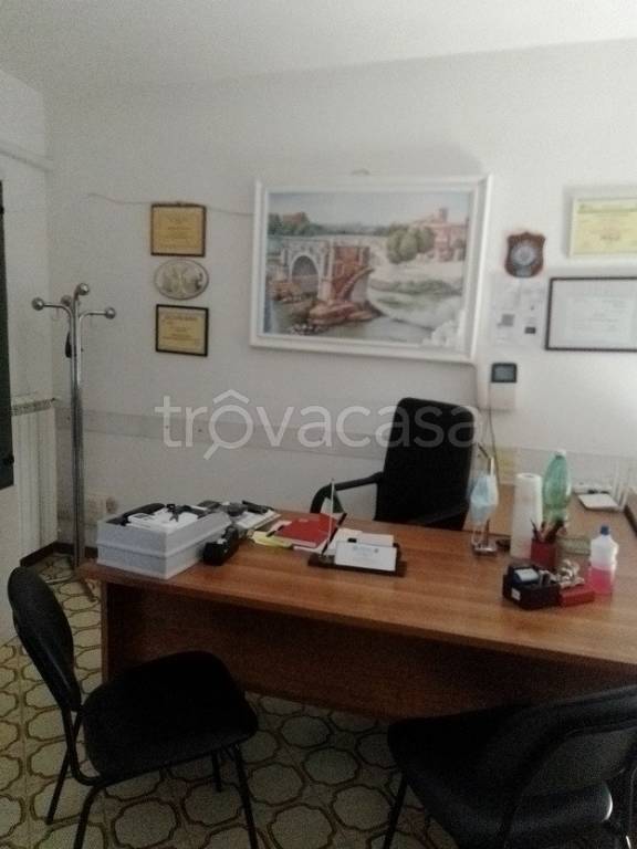 monolocale in affitto a Sabaudia